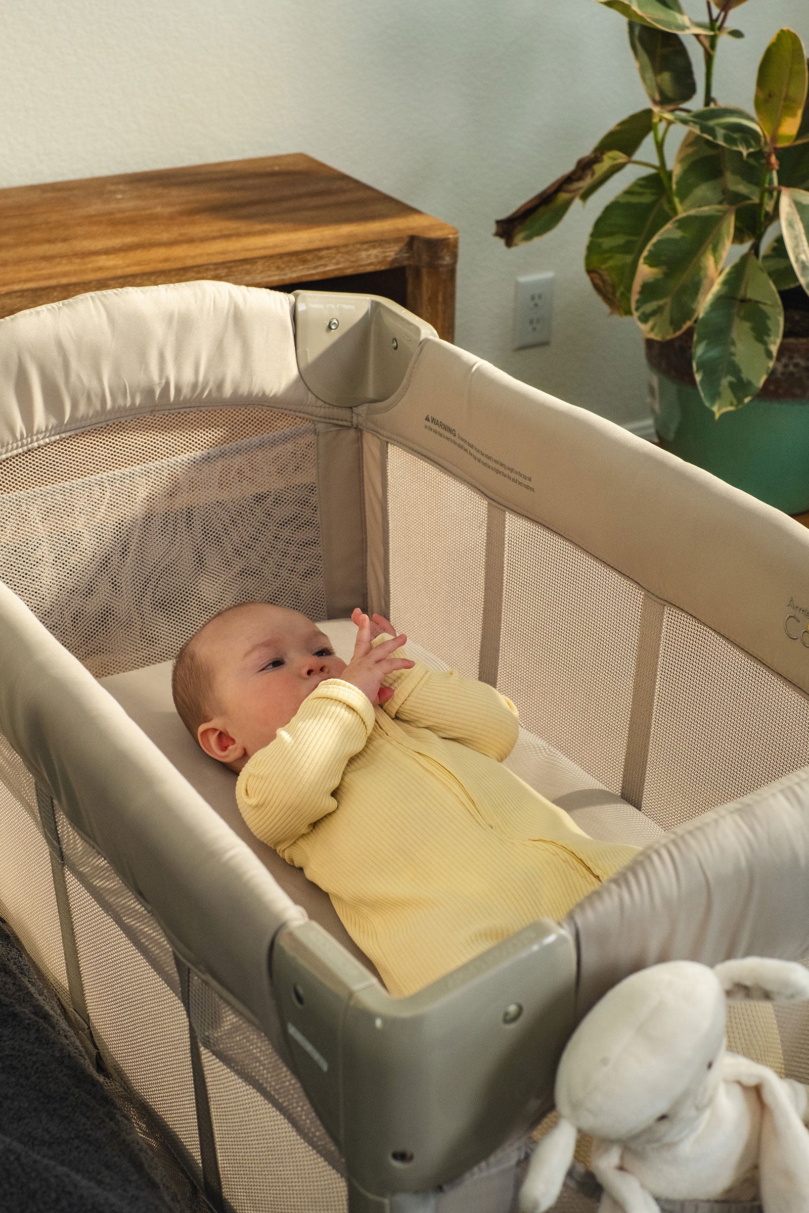 A baby in a pale yellow onesie lies inside a grey Arm's Reach Co-Sleeper® bassinet in a home setting, with a wooden table and a potted plant visible in the background.