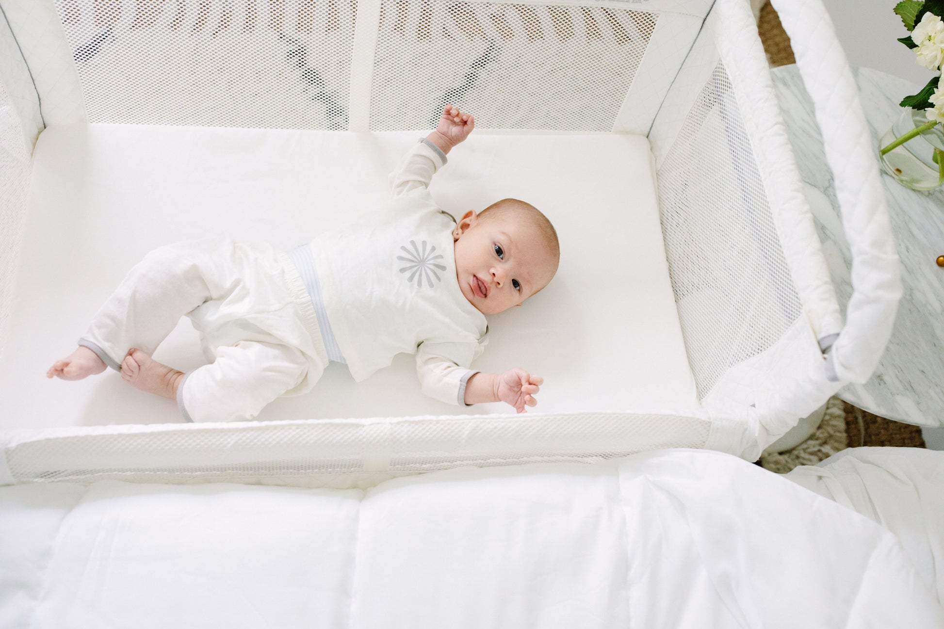 arm's reach clear-vue co-sleeper bassinet